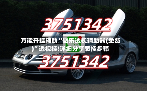 万能开挂辅助“微乐透视辅助器(免费)”透视挂!详细分享装挂步骤-第1张图片