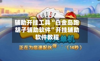 辅助开挂工具“白金岛跑胡子辅助软件	”开挂辅助软件教程-第1张图片