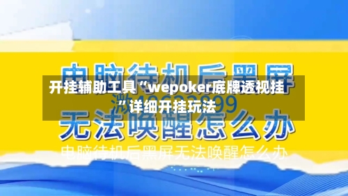 开挂辅助工具“wepoker底牌透视挂”详细开挂玩法-第1张图片