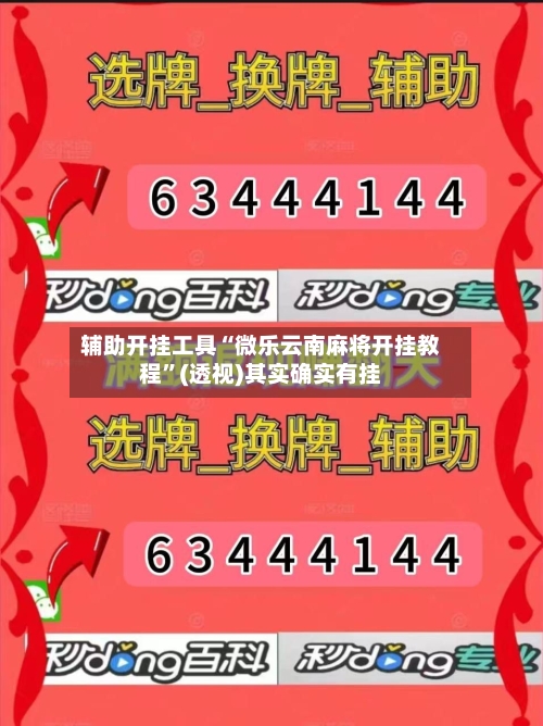 辅助开挂工具“微乐云南麻将开挂教程”(透视)其实确实有挂-第1张图片