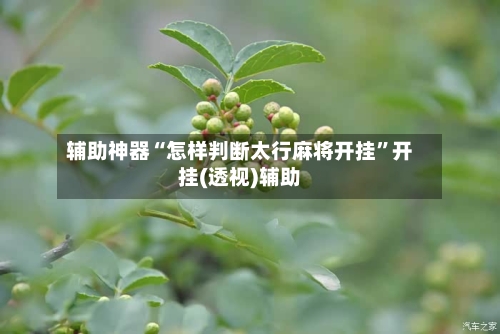辅助神器“怎样判断太行麻将开挂	”开挂(透视)辅助-第1张图片