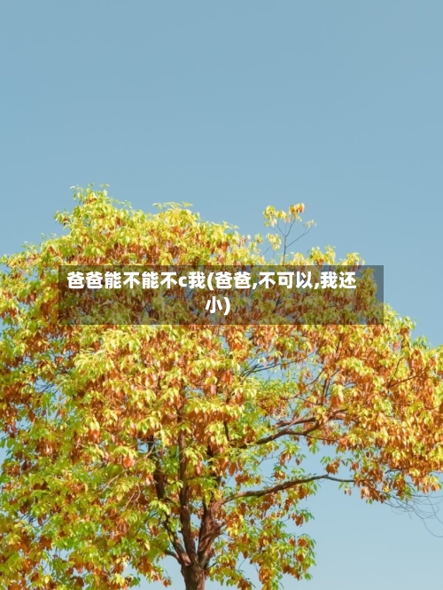爸爸能不能不c我(爸爸,不可以,我还小)-第1张图片