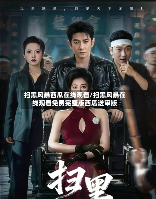 扫黑风暴西瓜在线观看/扫黑风暴在线观看免费完整版西瓜送审版-第1张图片