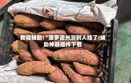 教程辅助!“菠萝德州测别人挂了!辅助神器插件下载-第1张图片