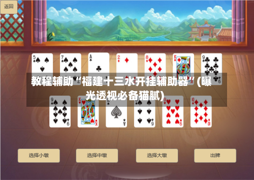 教程辅助“福建十三水开挂辅助器”(曝光透视必备猫腻)-第1张图片