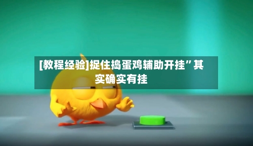 [教程经验]捉住捣蛋鸡辅助开挂”其实确实有挂-第1张图片