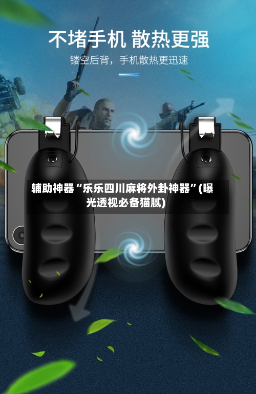 辅助神器“乐乐四川麻将外卦神器”(曝光透视必备猫腻)-第1张图片