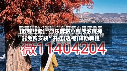 [教程经验]“微乐麻将小程序必赢神器免费安装”开挂(透视)辅助教程-第1张图片