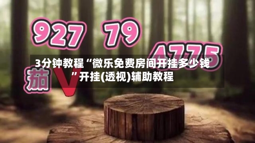 3分钟教程“微乐免费房间开挂多少钱	”开挂(透视)辅助教程-第1张图片