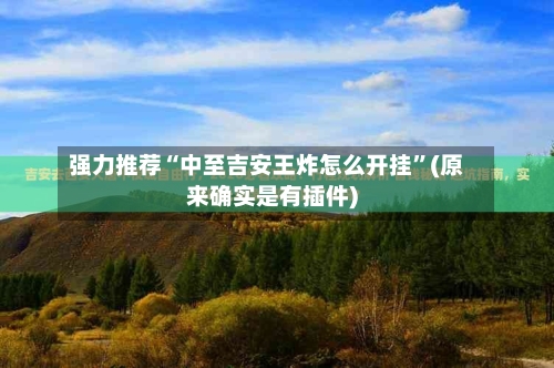 强力推荐“中至吉安王炸怎么开挂”(原来确实是有插件)-第1张图片