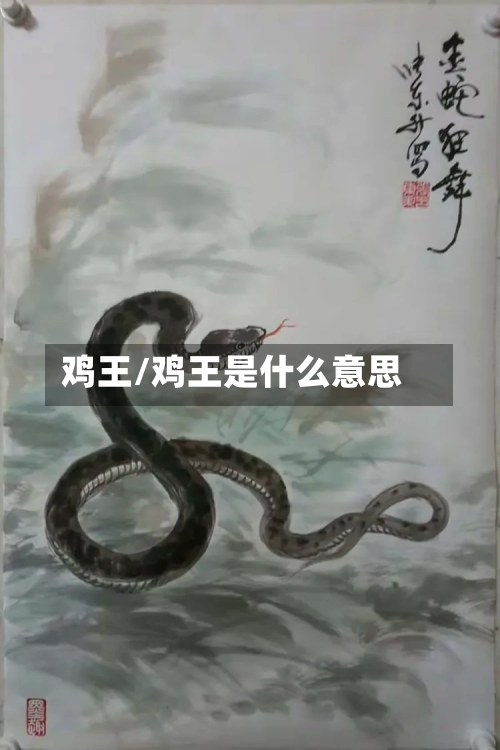 鸡王/鸡王是什么意思-第1张图片