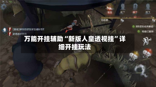 万能开挂辅助“新版人皇透视挂	”详细开挂玩法-第1张图片