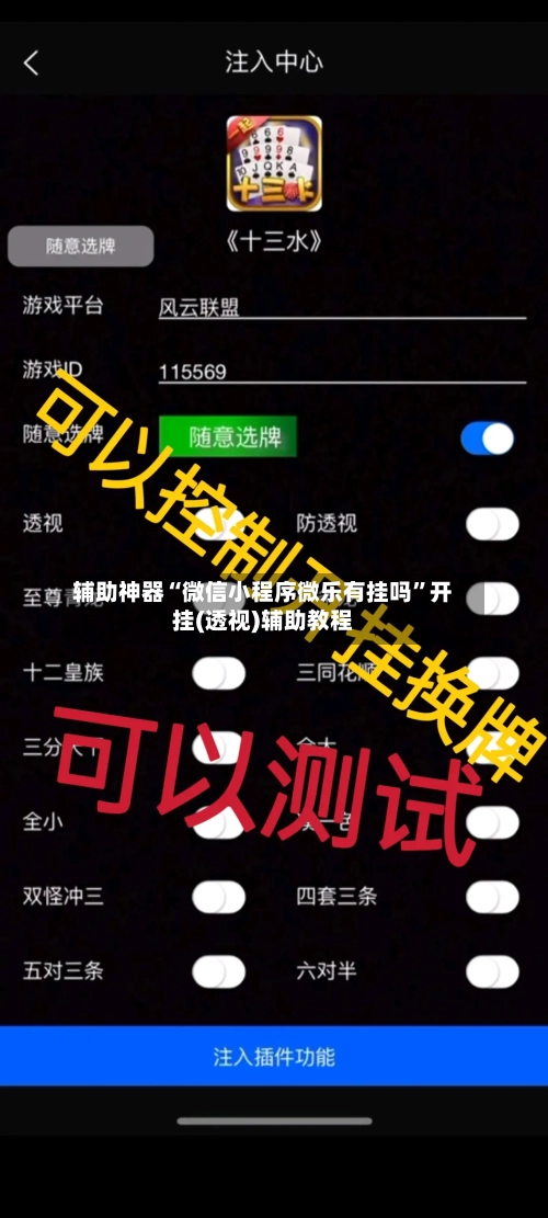 辅助神器“微信小程序微乐有挂吗”开挂(透视)辅助教程-第1张图片