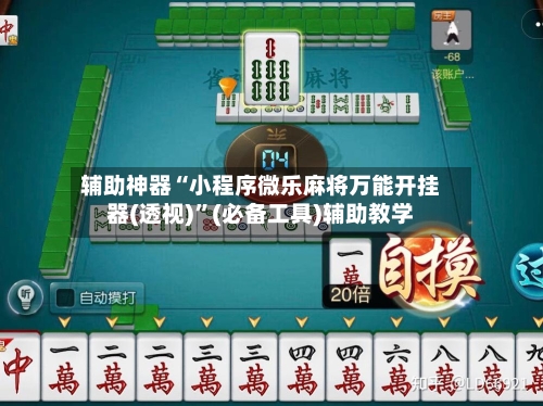辅助神器“小程序微乐麻将万能开挂器(透视)	”(必备工具)辅助教学-第1张图片