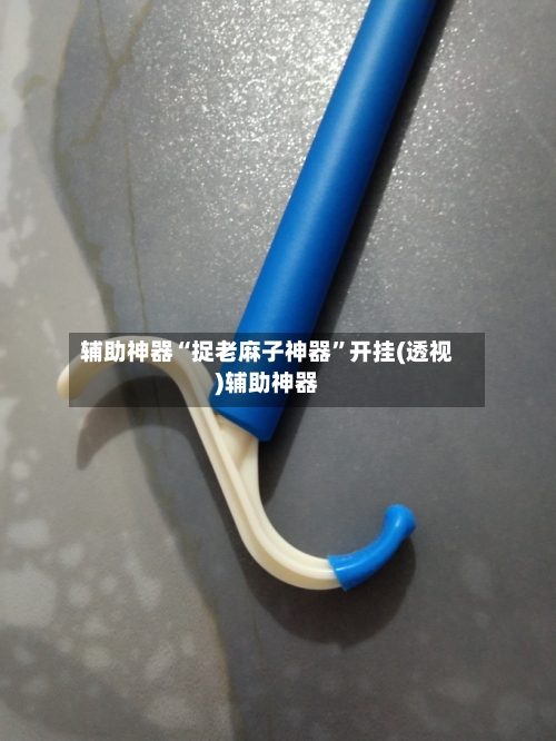 辅助神器“捉老麻子神器”开挂(透视)辅助神器-第1张图片