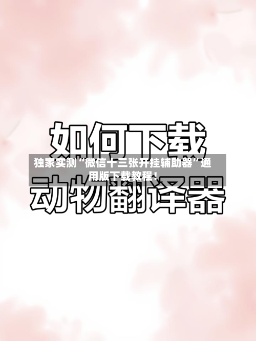 独家实测“微信十三张开挂辅助器”通用版下载教程！-第1张图片