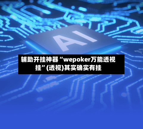 辅助开挂神器“wepoker万能透视挂”(透视)其实确实有挂-第1张图片