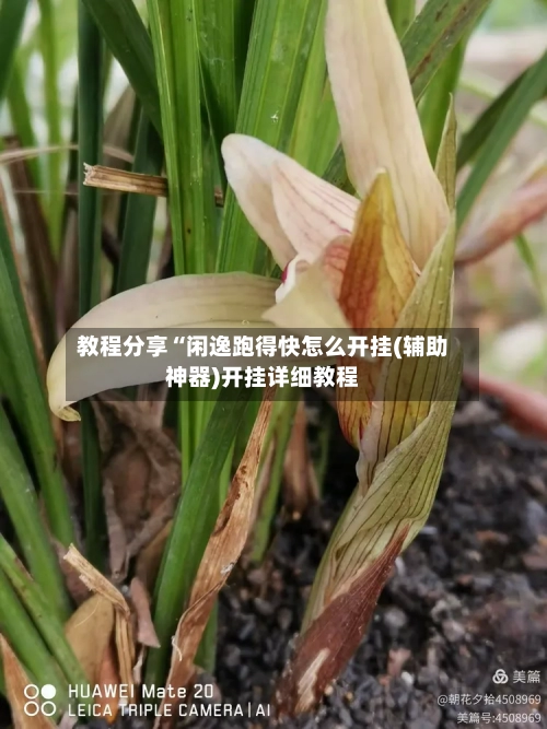 教程分享“闲逸跑得快怎么开挂(辅助神器)开挂详细教程-第1张图片