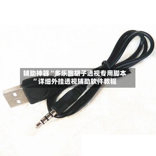 辅助神器“多乐跑胡子透视专用脚本	”详细外挂透视辅助软件教程-第1张图片