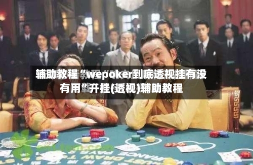 辅助教程“wepoker到底透视挂有没有用	”开挂(透视)辅助教程-第1张图片