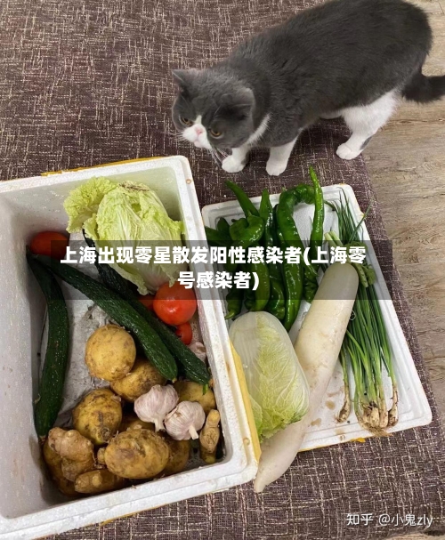 上海出现零星散发阳性感染者(上海零号感染者)-第1张图片
