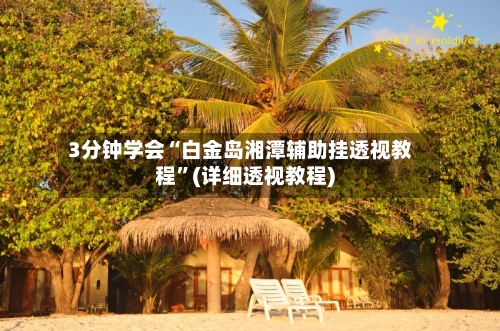 3分钟学会“白金岛湘潭辅助挂透视教程”(详细透视教程)-第1张图片