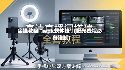 实操教程“wpk软件挂”(曝光透视必备猫腻)-第1张图片