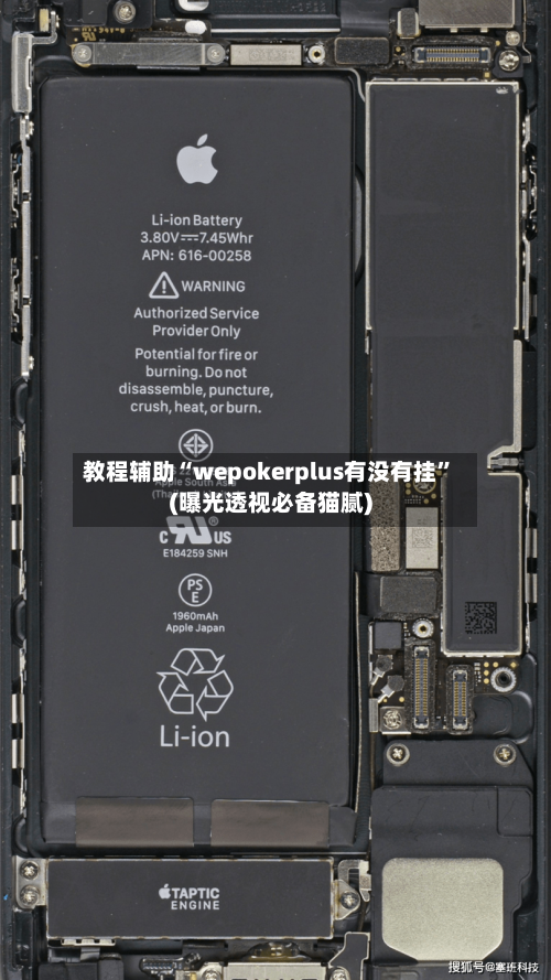 教程辅助“wepokerplus有没有挂”(曝光透视必备猫腻)-第1张图片