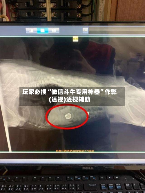 玩家必搜“微信斗牛专用神器	”作弊(透视)透视辅助-第1张图片