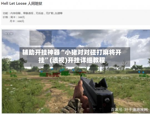 辅助开挂神器“小猪对对碰打麻将开挂”(透视)开挂详细教程-第1张图片