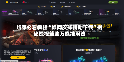 玩家必看教程“娱网皮球辅助下载”揭秘透视辅助万能挂用法-第1张图片