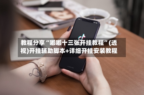 教程分享“嘟嘟十三张开挂教程”(透视)开挂辅助脚本+详细开挂安装教程-第1张图片