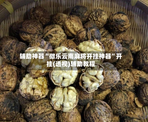辅助神器“微乐云南麻将开挂神器”开挂(透视)辅助教程-第1张图片
