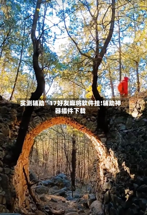 实测辅助	”17好友麻将软件挂!辅助神器插件下载-第1张图片