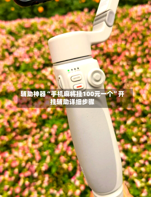 辅助神器“手机麻将挂100元一个”开挂辅助详细步骤-第1张图片
