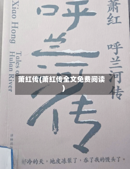 萧红传(萧红传全文免费阅读)-第1张图片