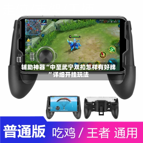 辅助神器“中至武宁双扣怎样有好牌	”详细开挂玩法-第1张图片