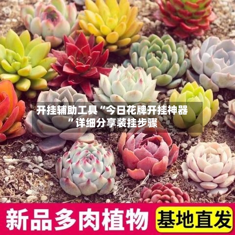 开挂辅助工具“今日花牌开挂神器”详细分享装挂步骤-第1张图片
