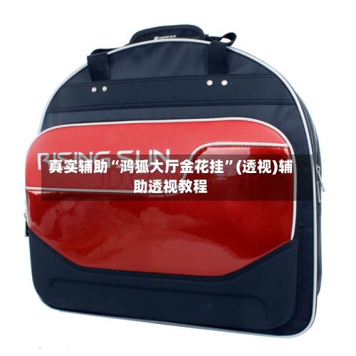 真实辅助“鸿狐大厅金花挂	”(透视)辅助透视教程-第1张图片