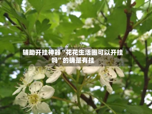 辅助开挂神器“花花生活圈可以开挂吗”的确是有挂-第1张图片