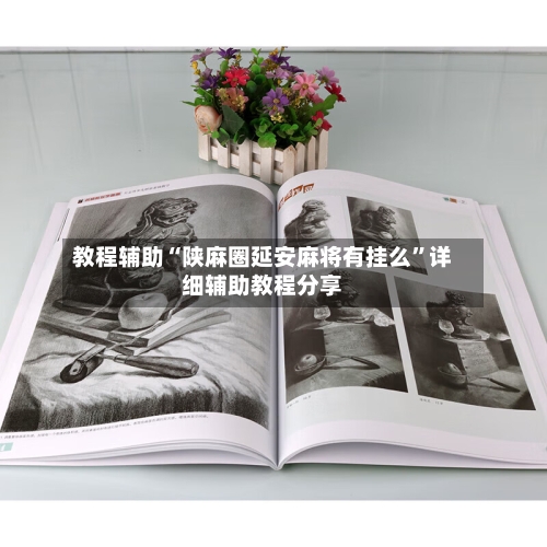 教程辅助“陕麻圈延安麻将有挂么	”详细辅助教程分享-第1张图片