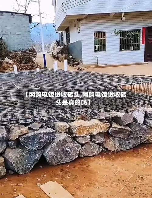 【网购电饭煲收砖头,网购电饭煲收砖头是真的吗】-第1张图片