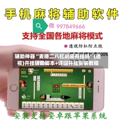辅助神器“麦穗二八杠到底有挂吗	”(透视)开挂辅助脚本+详细开挂安装教程-第1张图片