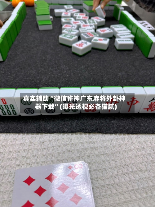 真实辅助“微信雀神广东麻将外卦神器下载	”(曝光透视必备猫腻)-第1张图片