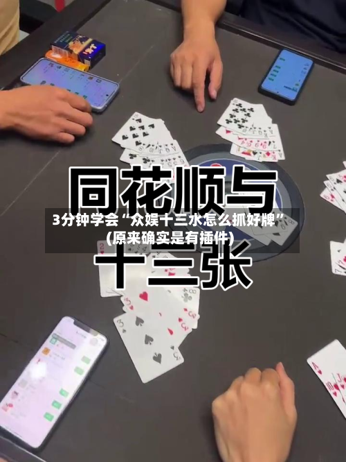 3分钟学会“众娱十三水怎么抓好牌”(原来确实是有插件)-第1张图片