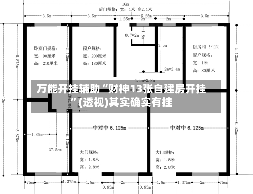 万能开挂辅助“财神13张自建房开挂	”(透视)其实确实有挂-第1张图片