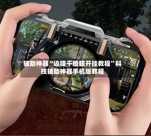 辅助神器“边锋干瞪眼开挂教程”科技辅助神器手机版教程-第1张图片