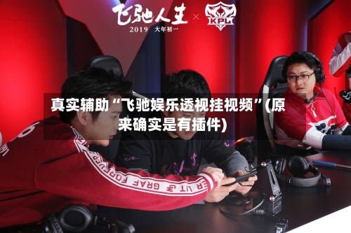 真实辅助“飞驰娱乐透视挂视频”(原来确实是有插件)-第1张图片
