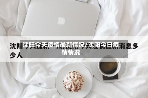 沈阳今天疫情最新情况/沈阳今日疫情情况-第1张图片