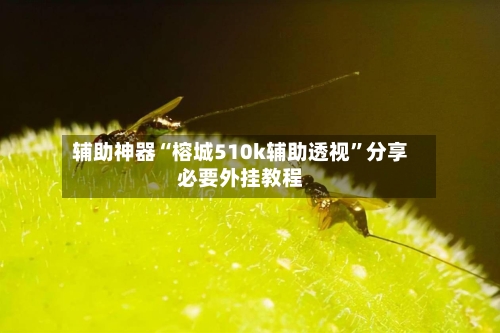 辅助神器“榕城510k辅助透视”分享必要外挂教程-第1张图片